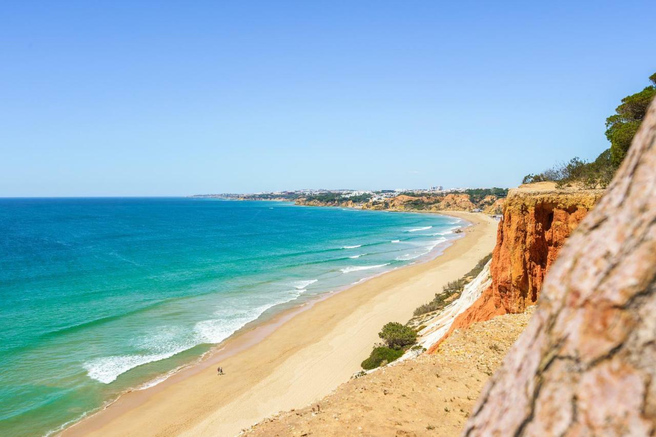 Exclusive Villa Toulouse With Pool In Falesia Algarve 阿尔布费拉 外观 照片